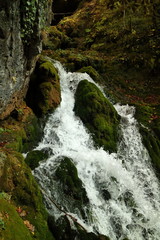 Green waterfall on a mountain stream. Moss. Forest.