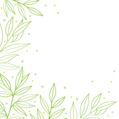 Branches with leaves decorative on white background