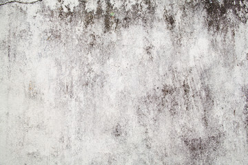 Background of textural black and white wall in a tropical country after rains.