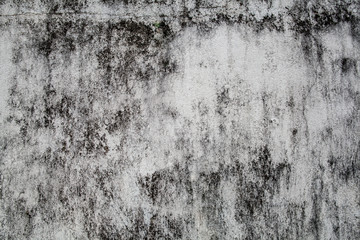 Background of textural black and white wall in a tropical country after rains.
