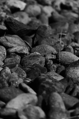 rock bed in black and white