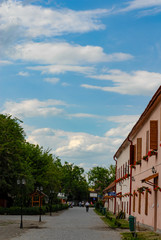 the wall of the building with the windows closed with shutters and red flowers