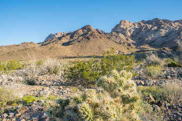 Mojave Nation Park at the Marble Mountains, the Cadiz land company is trying to take water from this federally owned land.  © buttbongo