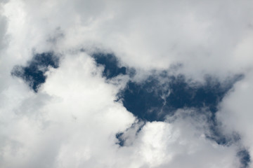Animal shape clouds