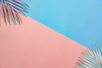 Fototapeta na wymiar Table top view aerial image of summer season holiday background concept.Flat lay coconut or palm colorful leaf on modern rustic pink & blue paper pastel backdrop.space for creative design mock up.
