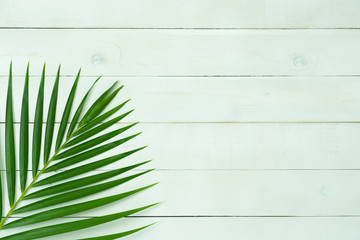 Table top view aerial image of summer season holiday background concept.Flat lay coconut or palm...