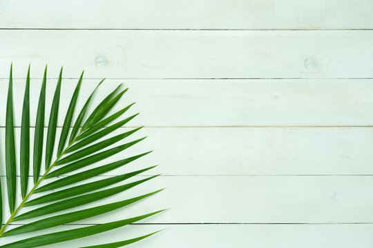Table top view aerial image of summer season holiday background concept.Flat lay coconut or palm colorful leaf on modern rustic white wooden backdrop.Free space for creative design mock up for content