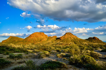 Desert landscape in the Mojave Desert near highway 40. 