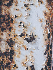 Close-up of decayed wall