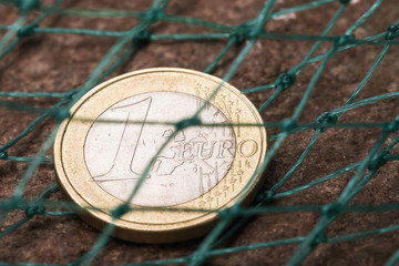Fototapeta na wymiar One euro covered by the net. Concept on the threat to the currency