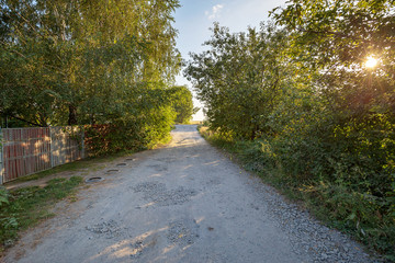 Obraz premium The empty country road along the farm gardens on a clear summer morning. Scenic rural landscape.