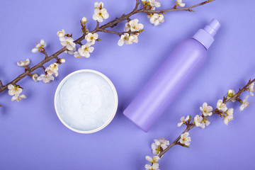 cream cosmetics and flowering twigs on violet background. skin care concept, beauty