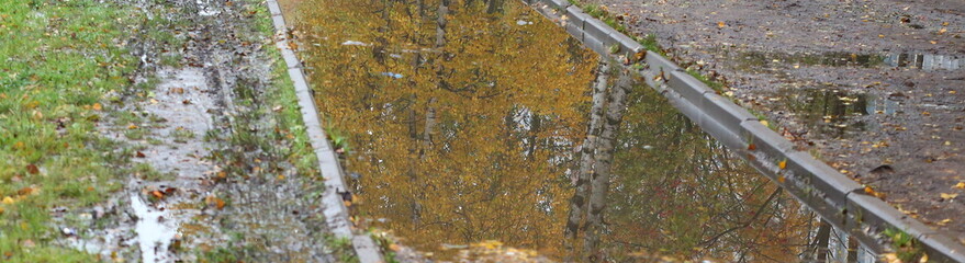 Obraz premium A autumn Park path filled with water