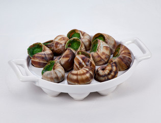 stuffed snails in a plate on a white background