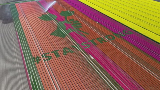 Tilting aerial view of beautiful supportive message to courageous health care workers amidst Covid-19 coronavirus crisis, created in colorful tulip fields in the Netherlands
