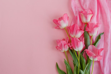 bouquet of pink tulips, on a pink background, place for text.