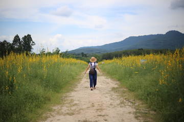 A woman standing in the crotalaria juncea field in Rayong, Thailand