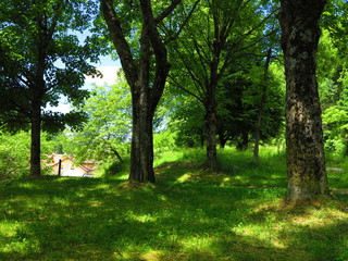 Peaceful village