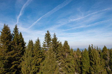 Mountain Jaworzyna Krynicka in Beskid Sądecki