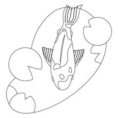 template for baby coloring. koi carp swimming in a pond with water lilies. linear style
