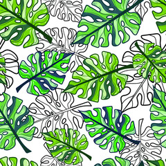 Tropical seamless pattern of Monstera Deliciosa plant leaves. Can be used for print, fabric, wrapping, stationery, web design. Vector illustration