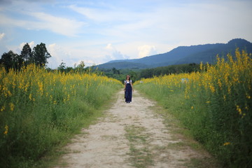 A woman standing in the crotalaria juncea field in Rayong, Thailand