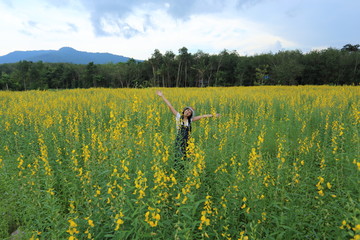 A woman standing in the crotalaria juncea field in Rayong, Thailand