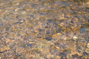 gravels under the clear rivulet water