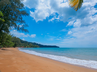 Uninhabited tropical beach with coconut palm and pine trees