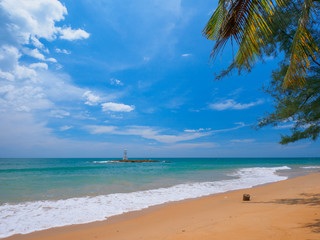 Uninhabited tropical beach with coconut palm and pine trees