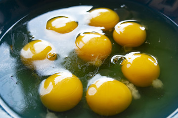 yolks and egg whites
