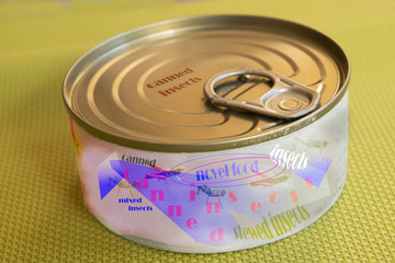 novel food:stewed canned insects