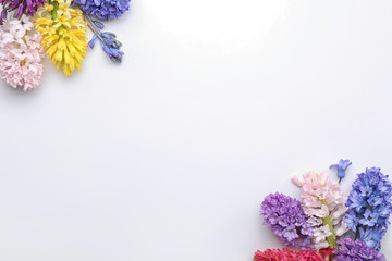 Beautiful hyacinth flowers on white background