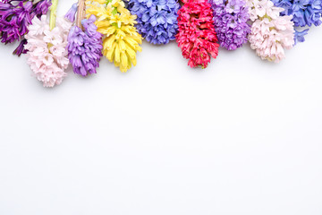 Beautiful hyacinth flowers on white background