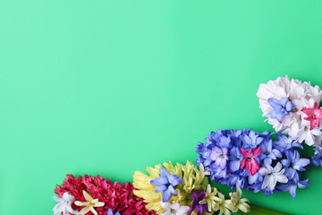 Beautiful hyacinth flowers on color background