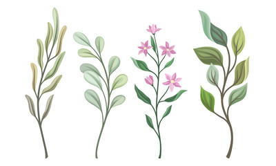 Floral Twigs and Branches with Tender Flower Buds and Leaves Vector Set