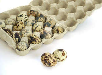 Quail eggs in a carton box. Isolated. White background