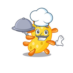 Vibrio chef cartoon character serving food on tray