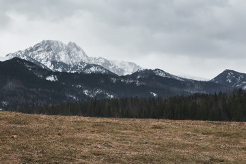 a meadow with faded grass in front of dramatic mountain peaks covered with snow in defocus
