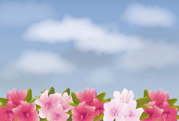 Fototapeta premium 満開のツツジと空の風景