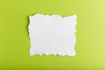 white blank with ragged edges on a green background