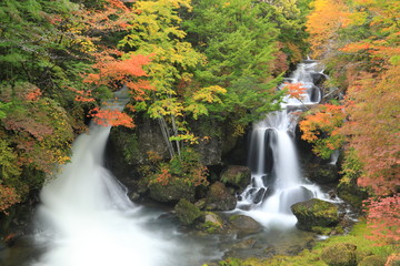 秋の竜頭の滝