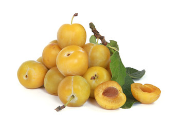 Prune Reine Claude	