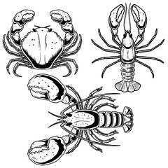 Set of illustrations of crab, lobster, omar in engraving style. Design element for poster, card, banner, logo, emblem, sign, badge. Vector illustration