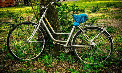 Fototapeta premium Antigua bicicleta inglesa rodeada de naturaleza