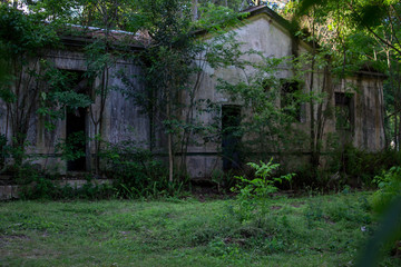 Fototapeta na wymiar Casa abandonada , naturaleza avanzando , muchas hojas