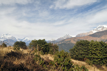 Obraz premium Nepal Poon Hill Trekking Scenery 