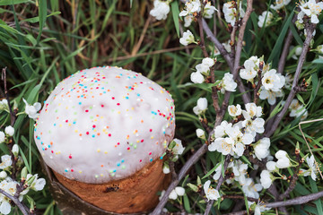 Easter cake covered in pastry glaze and white flowers on green grass. Easter motives.