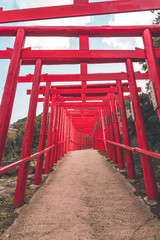 Red torii gates by the sea