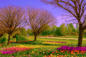 Fashion idea wallpaper. Nature blooming park. Slovenia. Travel